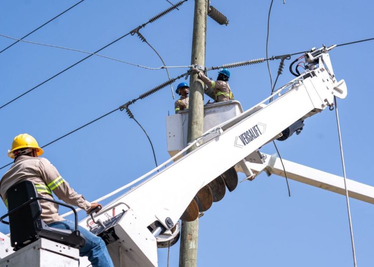 La empresa de eléctrica realizará reemplazo de estructuras deterioradas en la línea de transmisión y otras labores.