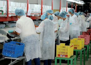 La fabricación mensual de bienes de consumo no perecederos subió un 1.4%, la de bienes de capital un 1.2% y la de bienes intermedios otro 0.5%.