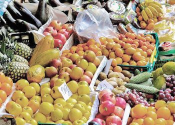Inocuidad de los alimentos viene a fiscalizar el cumplimiento de las normativas nacionales e internacionales.