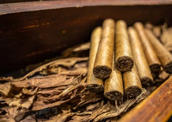 Acorde con los datos oficiales, República Dominicana produce 8,400 millones de tabacos al año.