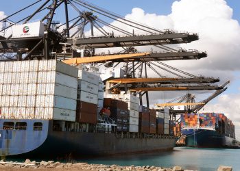 exportaciones-dominicanas