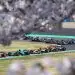 Esta carrera se disputa en temporada donde los cherry blossoms florecen en Suzuka.