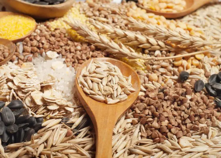 La cosecha esperada para este año es de 294.3 millones de toneladas de granos, un 6.7% menos que en 2023.- Fuente externa.