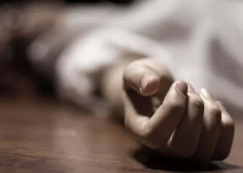 En los últimos cinco años se registraron 730 muertes violentas de mujeres en el país.
