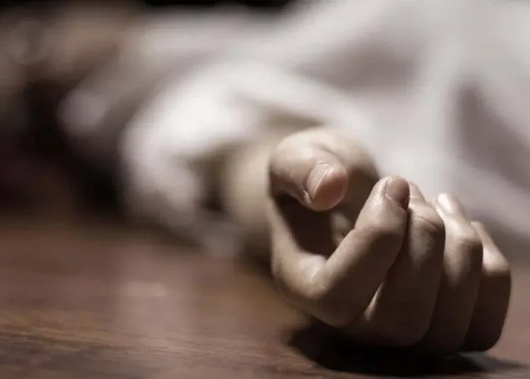 En los últimos cinco años se registraron 730 muertes violentas de mujeres en el país.