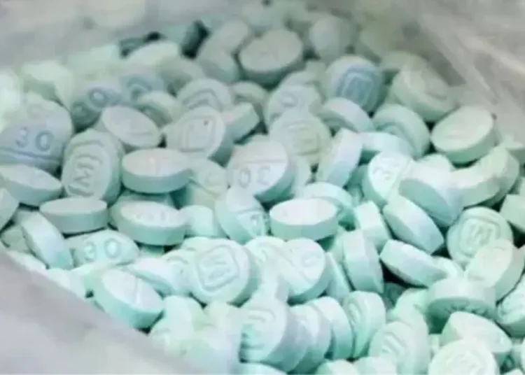 El representante de Estados Unidos, Cart Weiland, recordó el caso de Malcolm Kent, un joven estadounidense de 17 años que falleció tras consumir una sustancia adulterada con fentanilo.