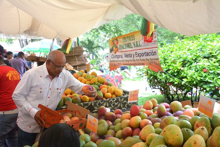 Desde el 14 hasta el 19 de junio, cientos de compradores locales y extranjeros adquirieron mangos a precios asequibles. | Lésther Álvarez