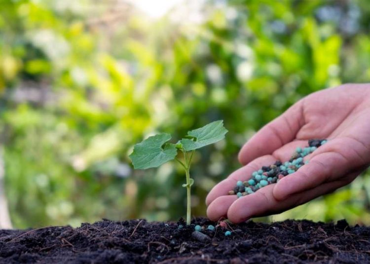 fertilizantes