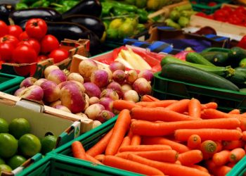 Brasil, uno de los mayores exportadores de alimentos en la actualidad, espera contribuir con "un 40% de ese esfuerzo global". - Fuente externa.