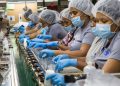 Más de 116 mil personas egresaron de programas formativos vinculados a las zonas francas dominicanas.