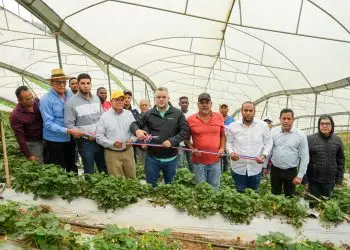 Entregan 20 macro túneles a la Asociación de Productores de Fresas de Jarabacoa.