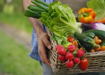 El enclave español es una de las principales puertas de entrada de fruta tropical.