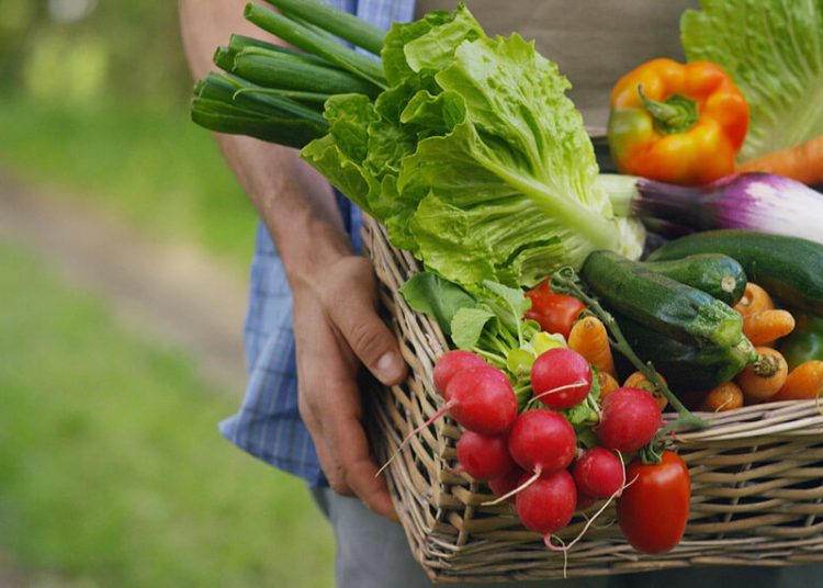 El enclave español es una de las principales puertas de entrada de fruta tropical.