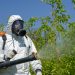 Karina Castellanos dice protocolos de fumigación preventiva incluyen evaluaciones fitosanitarias periódicas y tratamientos preventivos con productos biodegradables.