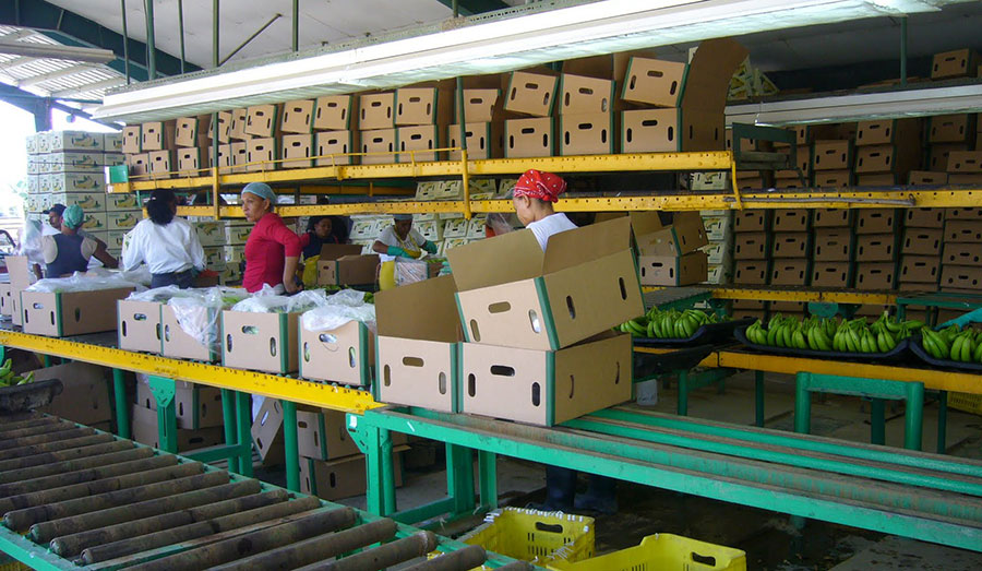 La integración de la mujer a actividades productivas puede ser, además, a través de pequeñas y medianas empresas.