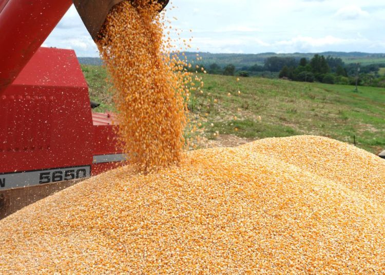 Ucrania es uno de los principales exportadores agrícolas del mundo. | Fuente externa.