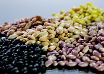 En 2022, la FAO ayudó a unas 50,000 personas a través de la "alimentación escolar saludable" y "programas vinculados a la agricultura familiar local". | Fuente externa.