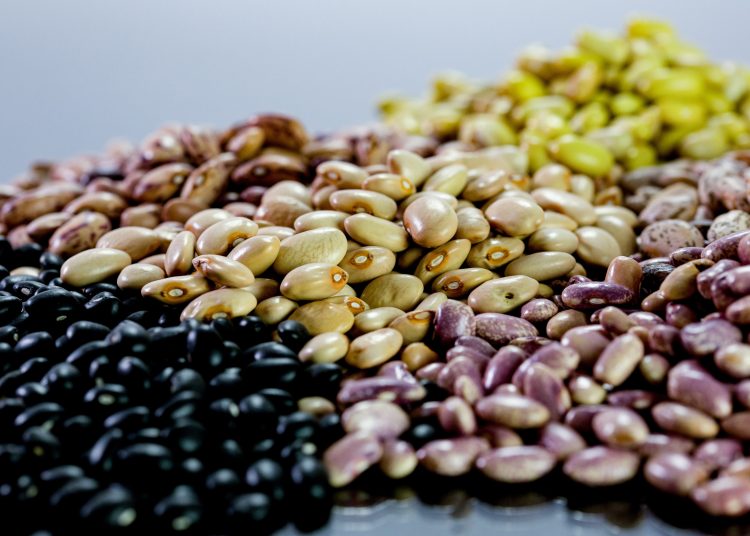 En 2022, la FAO ayudó a unas 50,000 personas a través de la "alimentación escolar saludable" y "programas vinculados a la agricultura familiar local". | Fuente externa.