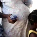 Las estadísticas del SNS indican que el año pasado, solamente en los hospitales públicos, nacieron 32,905 hijos de madres haitianas.