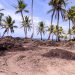 La institución verificó la remoción total de la capa freática del suelo en algunos puntos en las playas de Uvero Alto.