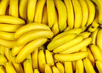 Las ayudas del Gobierno se concentrarán primero en los pequeños productores por debajo de las 200 tareas. - Fuente externa.