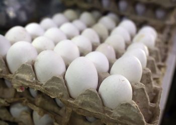 República Dominicana es autosuficiente en la producción de huevos.