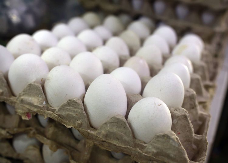 República Dominicana es autosuficiente en la producción de huevos.