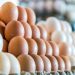 El Gobierno tiene previsto adquirir esta semana alrededor de 4 millones de huevos a decenas de productores. | Fuente externa