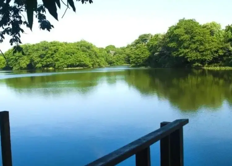 Entre los activos más destacados se encuentran los seis humedales de importancia internacional reconocidos bajo el Convenio Ramsar.