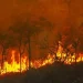 Si no hubiera sido una temporada de incendios tranquila en las sabanas africanas, la temporada de incendios de 2023-24 habría establecido un nuevo récord de emisiones de CO2 a nivel mundial.