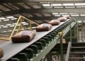 Las recaudaciones de este sector registraron una tasa de crecimiento promedio anual de 11.6% entre 2021 y 2025.