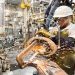 Las cifras reflejan el comportamiento de la economía de México, que creció un 0.2% trimestral y un 2.2% interanual en el segundo trimestre de 2024.