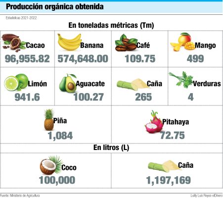 infografia 2 irmgard