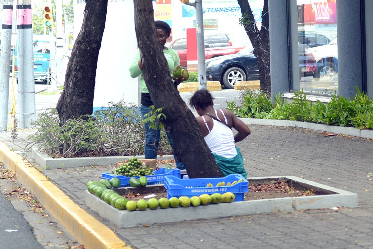 informalidad economia 10