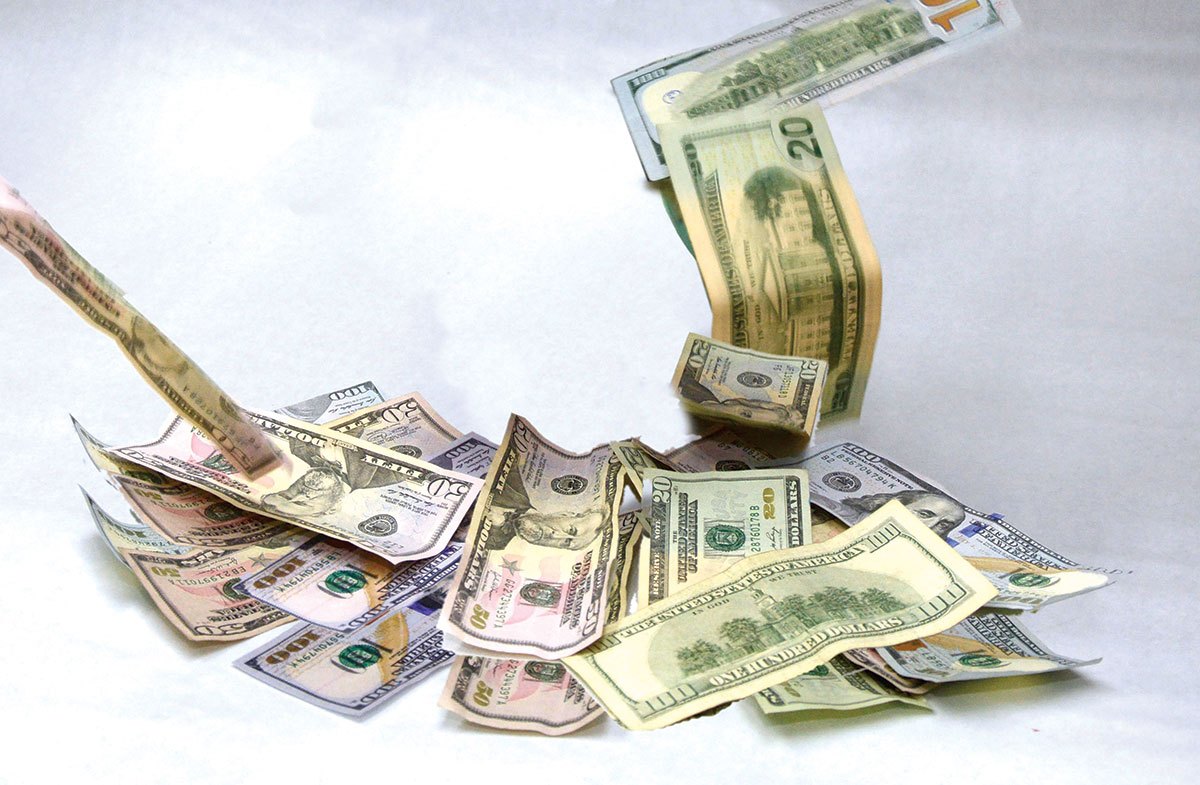 ingresos de divisas deuda publica