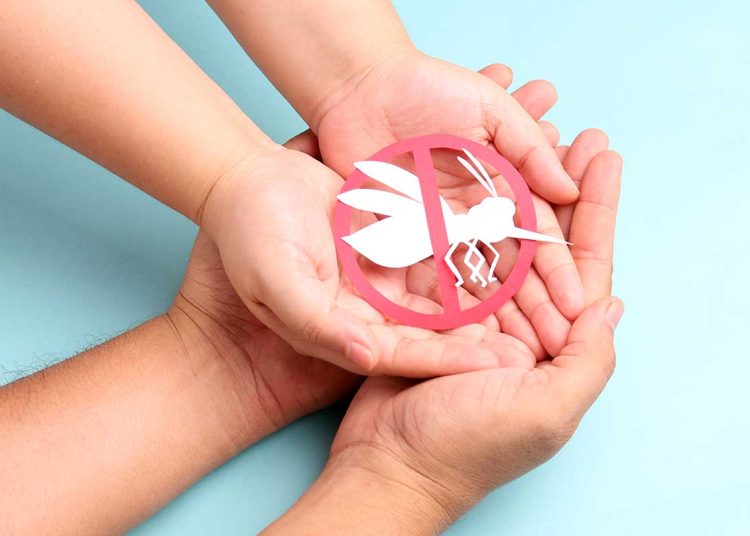 Cuando el plasmodium se encuentra en el hígado, el paciente no muestra ningún síntoma, mientras que en la fase de multiplicación a través de los glóbulos rojos sufre ya episodios de fiebre muy alta. - Fuente externa.