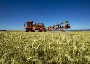 inseguridad-alimentaria