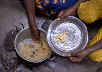 Torero indica FAO está trabajando "fuertemente en las zonas rurales" para incrementar producción y la productividad en la agricultura.