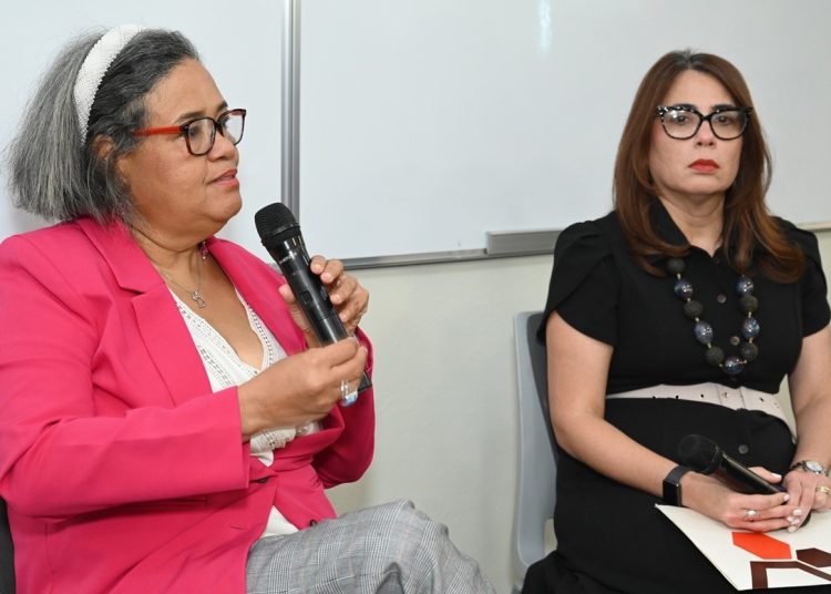 Ordehi y Del Rosario Sosa señalaron que en el contexto de la respuesta ante la alta mortalidad materna, es relevante resaltar la condición del aborto.