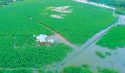 inundaciones productores agricolas