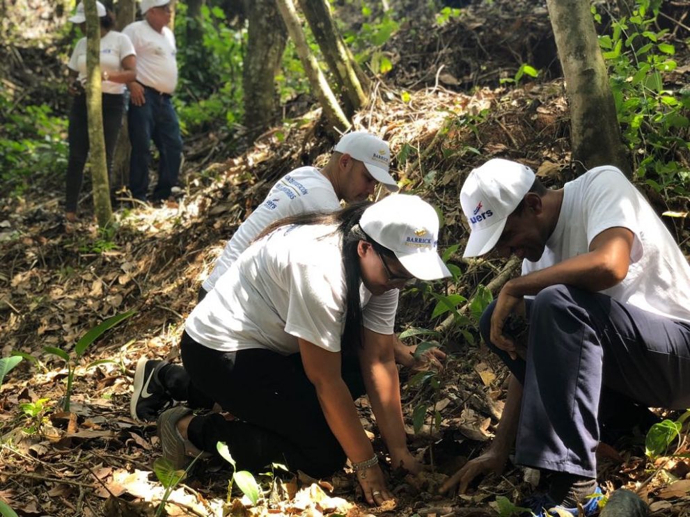 jornada de reforestación uerd y barrick