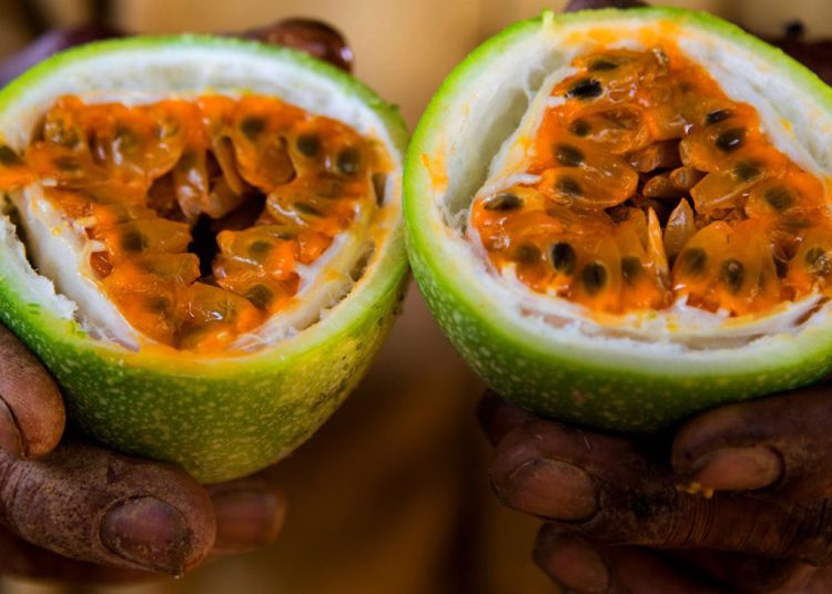 En el 2021 se sembraron alrededor de 29,500 tareas de chinola en República Dominicana. | Fuente externa