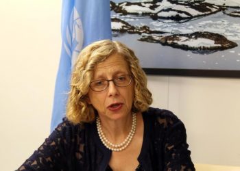 Inger Andersen ONU
