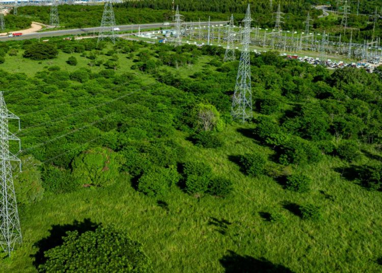 Destacó que adicionalmente a esto, la ETED tienen 7 proyectos de líneas y subestaciones recientemente adjudicados que serán construidos en el próximo trimestre del año 2025, con una inversión de RD$8,000 millones.