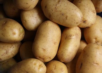 Papas. | Lars Blankers, Unsplash.