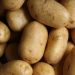Papas. | Lars Blankers, Unsplash.