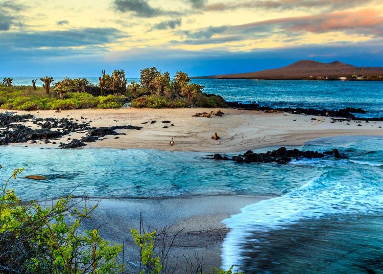 Las Islas Galapagos en Ecuador. Fuente externa