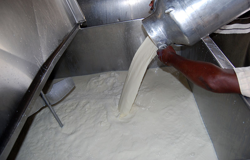 Conaleche asegura que la leche de producción nacional cumple con todos los estándares de calidad./elDinero