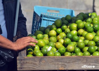 Los datos señalan que se produjeron 797,919 quintales de limón agrio en los primeros seis meses del año.