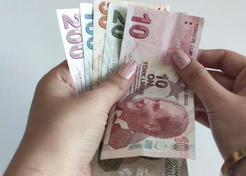 Lira turca. | Fuente externa.